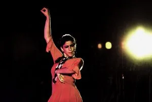 Tat flamenca copie
