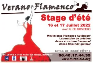 FlyerRecto ete Montpellier22 version