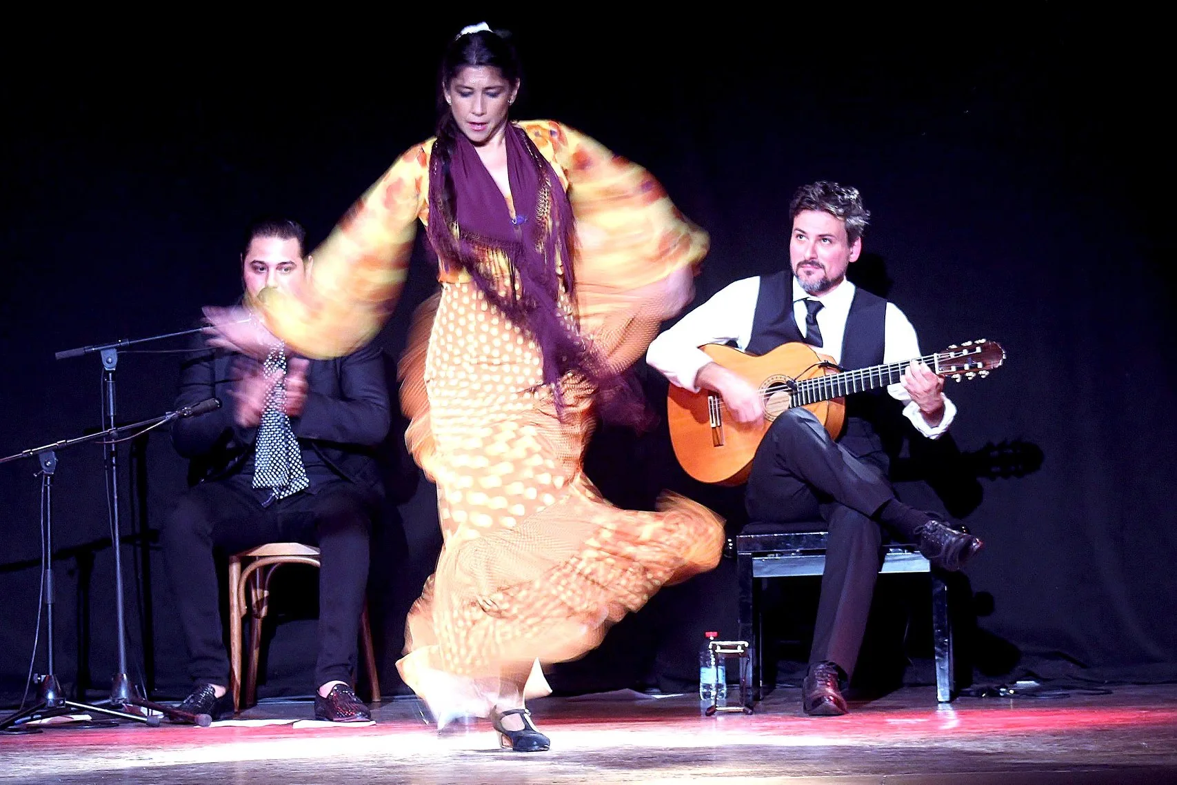 Flamenco A3 4 TatianaGanoza_FlamencoA3_Paris.jpg