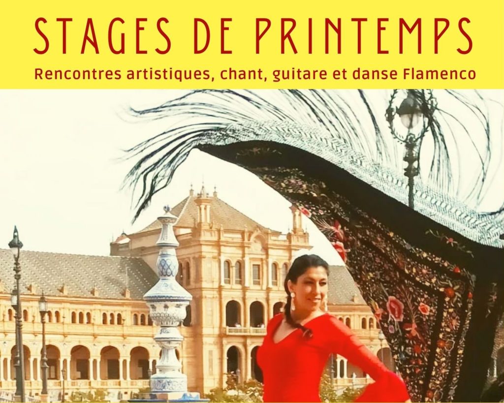 stage printemps montpellier avril e1773853319392